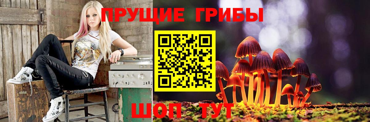 где найти наркотики  Вход с VPN  Донецк  Псилоцибиновые грибы Magic Shrooms 